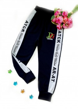 брюки спортивные ― Детская одежда оптом, купить детскую одежду оптом, Интернет-Магазин детской одежды BabyModaSIB